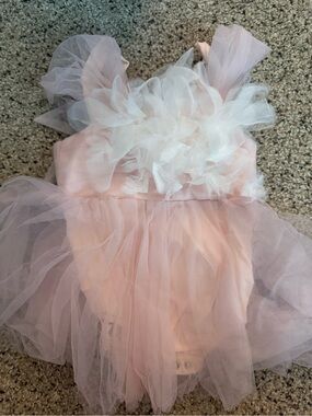 Before and ever flower girl dress size 12-18mth